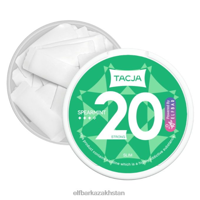 CV4D3225 ELFBAR TACJA Nicotine Pouch - Spearmint - 1PK-12mg/g Original