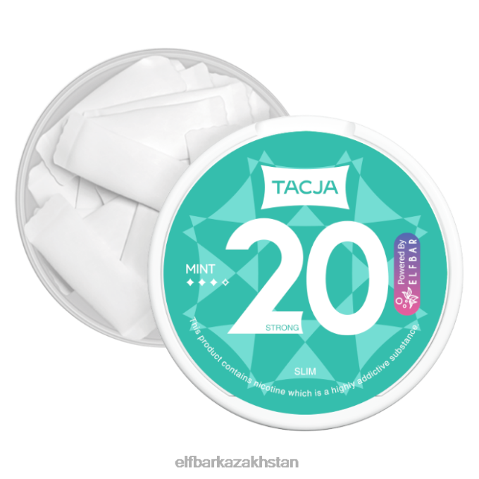 CV4D3231 ELFBAR TACJA Nicotine Pouch - Mint - 1PK-12mg/g Original