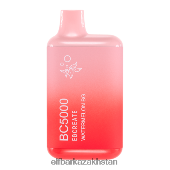 Watermelon BG BC5000 Consumer - Single ELFBAR CG2SC36