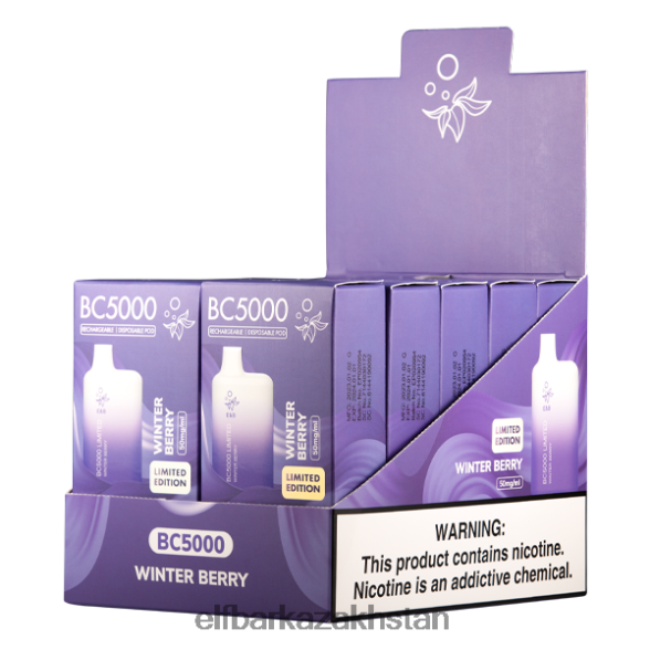 Winter Berry BC5000 Consumer - 50mg - Single ELFBAR CG2SC48